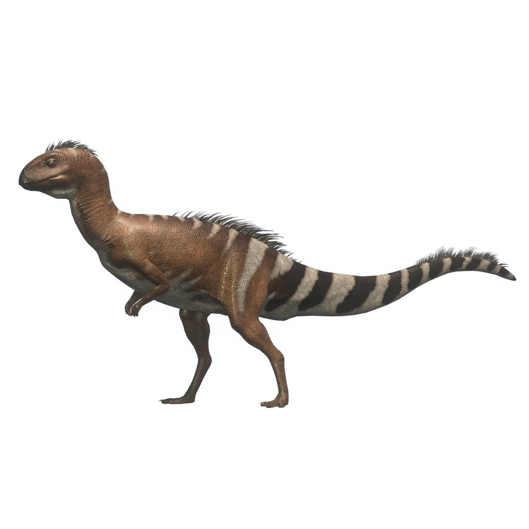 Dryosaurus 3D Model – Low Poly Rigged Dinosaur Asset Pack, FBX - View 9
