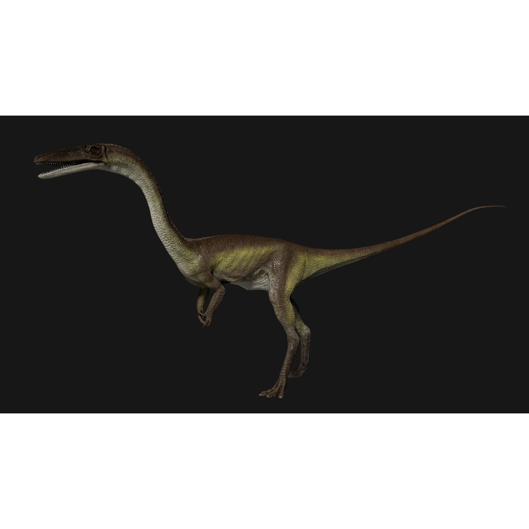 Coelophysis Dinosaur 3D Model – Low Poly Rigged Animation, FBX - View 3