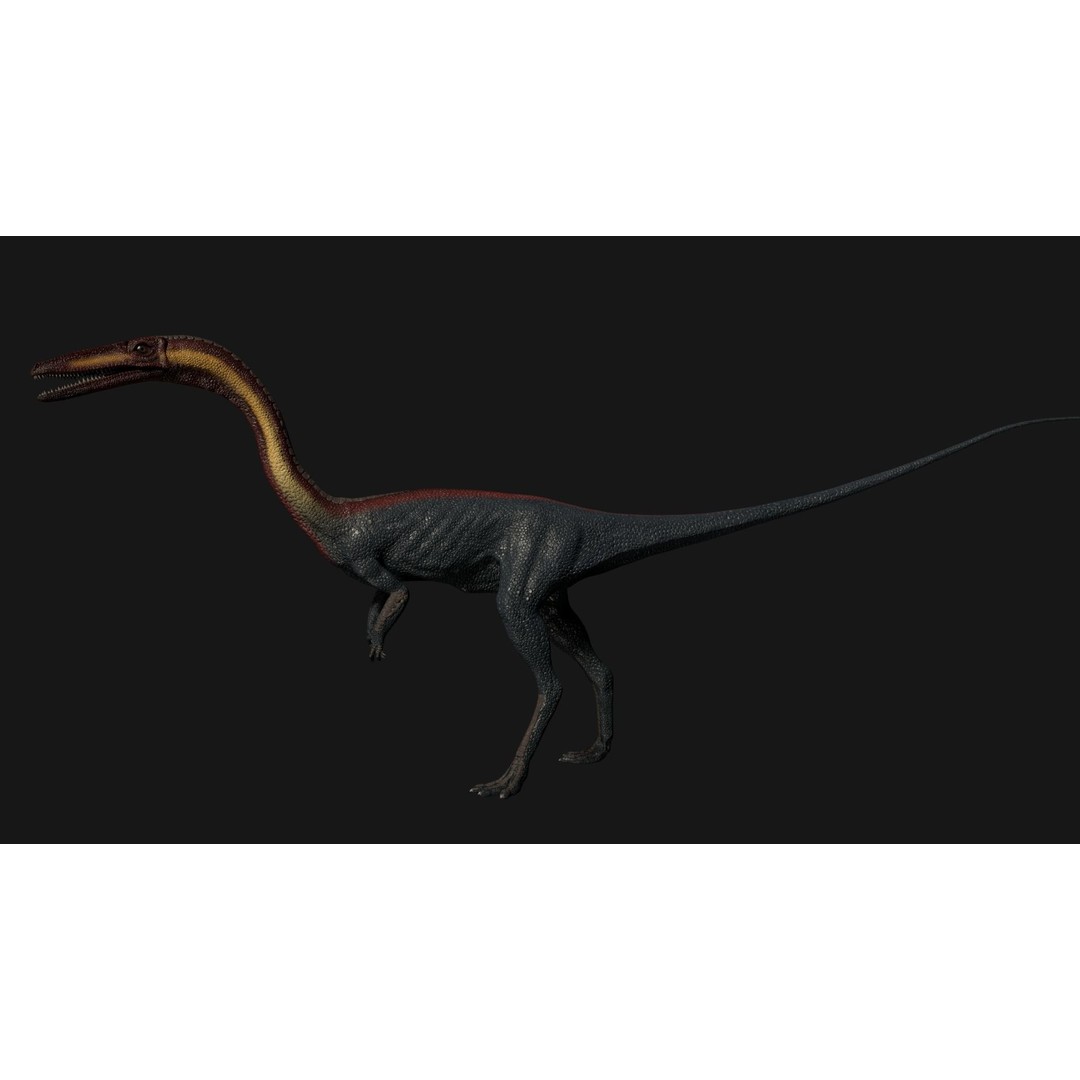 Coelophysis Dinosaur 3D Model – Low Poly Rigged Animation, FBX - View 7