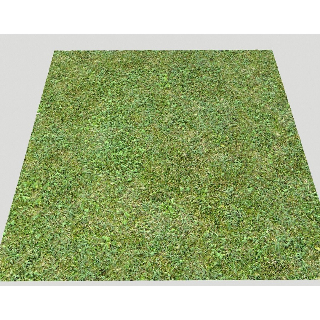 Forest Terrain 3D Model – PBR Textures for Natural Landscapes - View 18