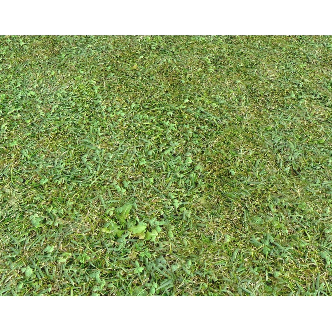 Forest Terrain 3D Model – PBR Textures for Natural Landscapes - View 3