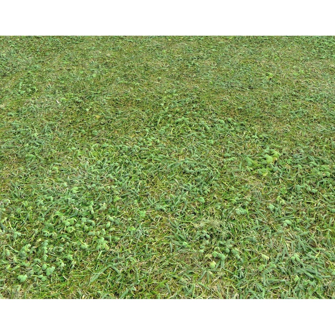 Forest Terrain 3D Model – PBR Textures for Natural Landscapes - View 4