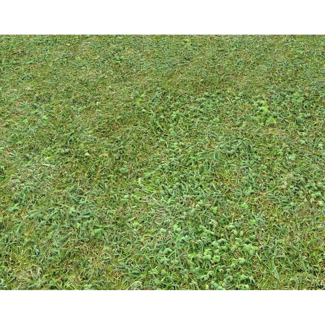 Forest Terrain 3D Model – PBR Textures for Natural Landscapes - View 5