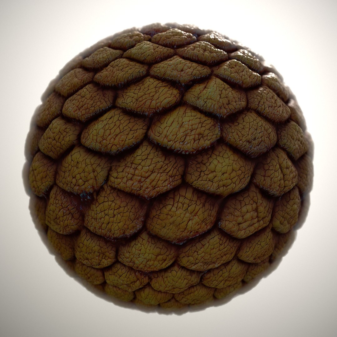 Alien Skin 3D Model – Seamless PBR Texture for Characters, FBX - View 9