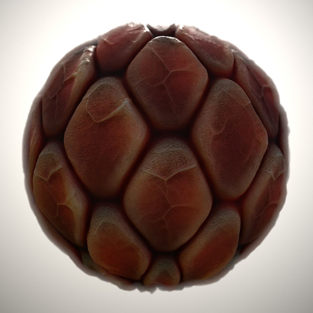 Alien Skin 3D Model – Seamless PBR Texture Pack for Characters - View 10