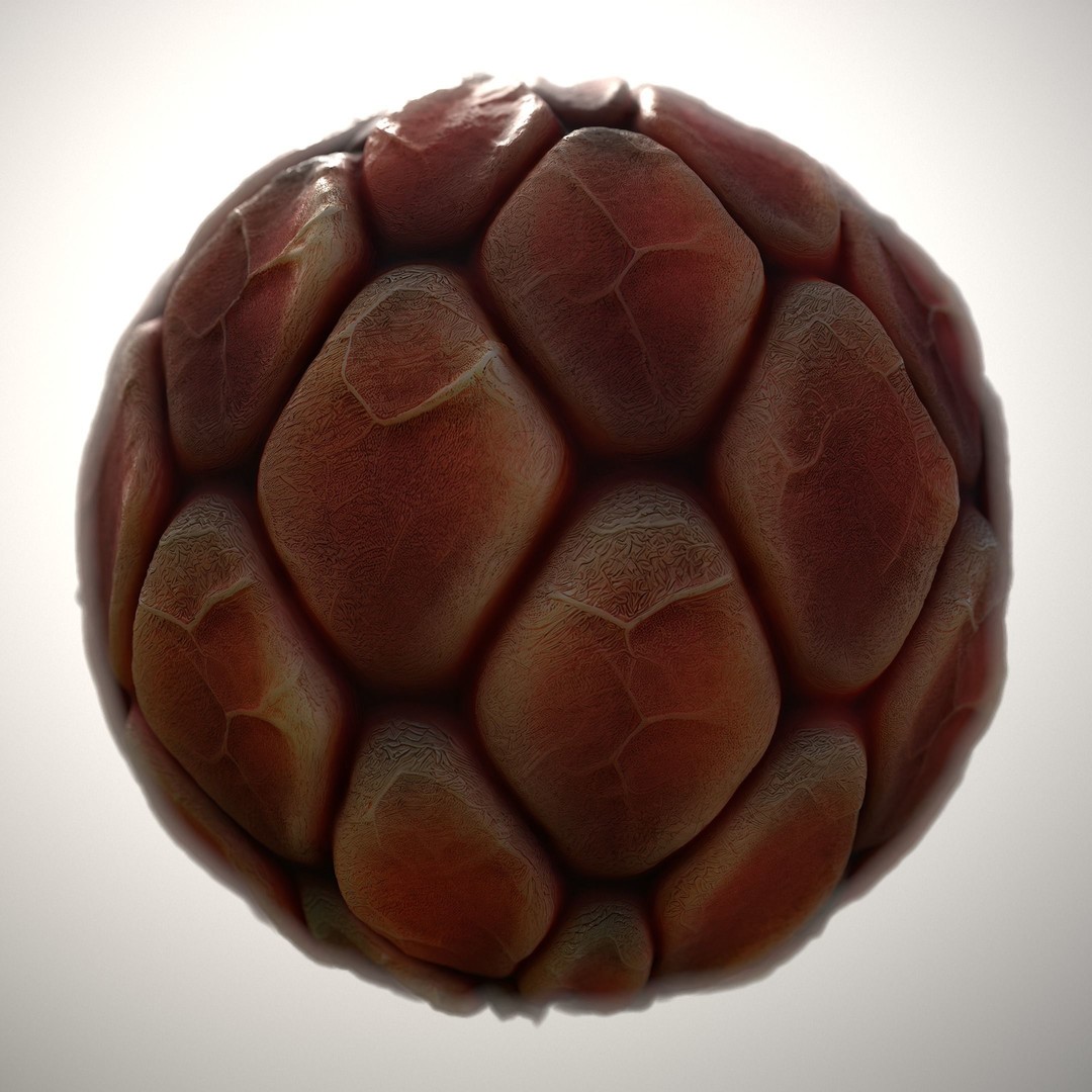 Alien Skin 3D Model – Seamless PBR Texture Pack for Characters - View 11