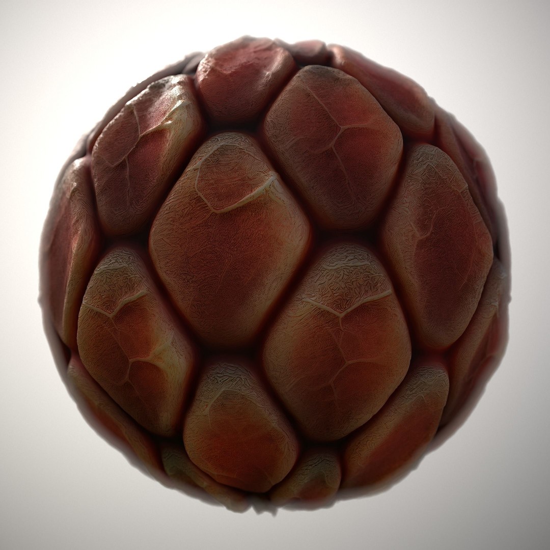 Alien Skin 3D Model – Seamless PBR Texture Pack for Characters - View 12