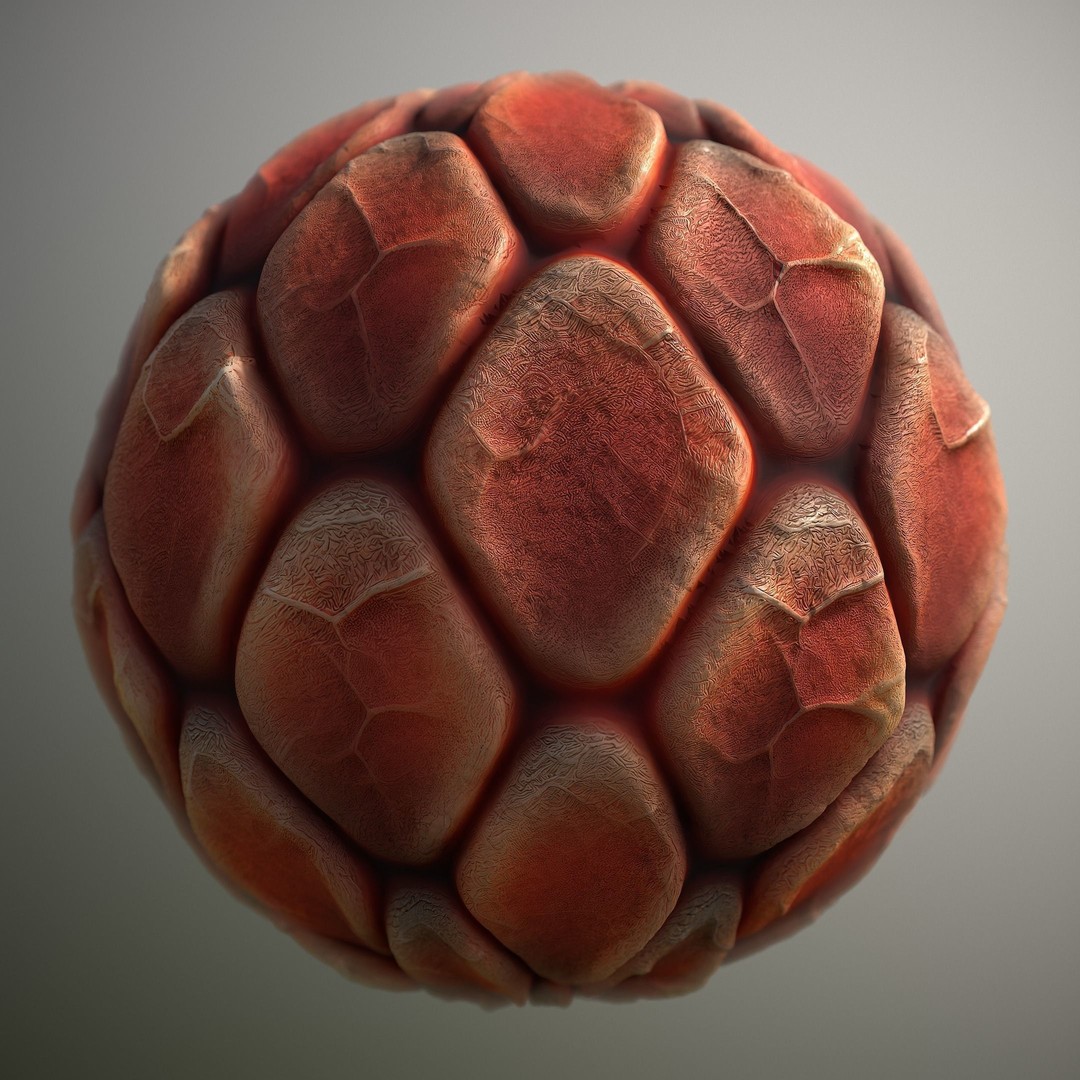 Alien Skin 3D Model – Seamless PBR Texture Pack for Characters - View 5