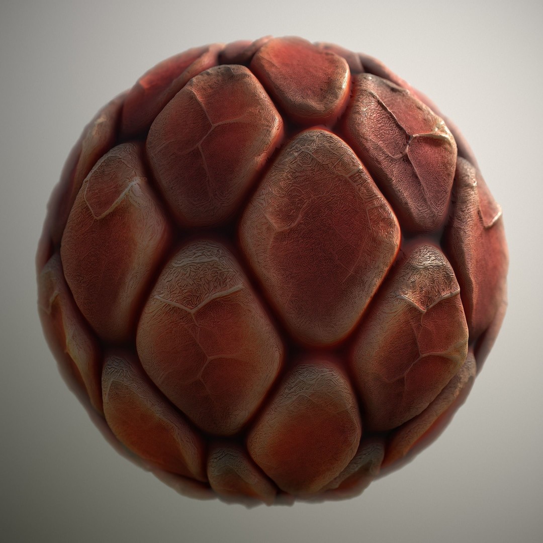 Alien Skin 3D Model – Seamless PBR Texture Pack for Characters - View 6