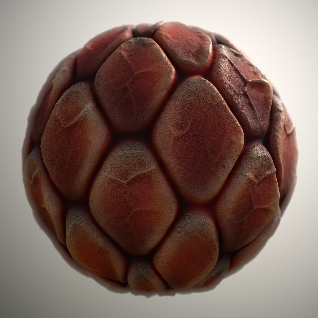 Alien Skin 3D Model – Seamless PBR Texture Pack for Characters - View 7