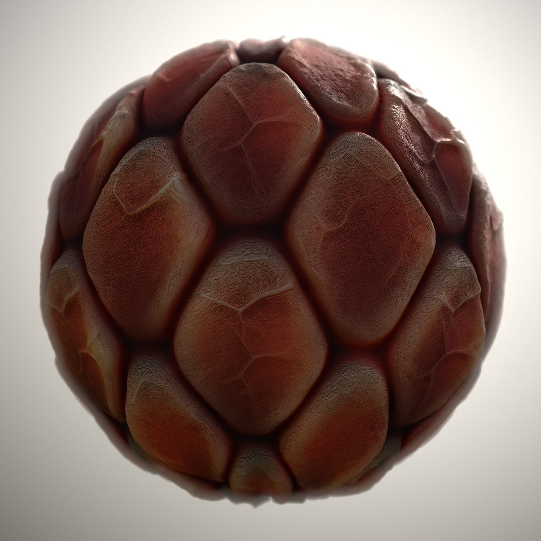 Alien Skin 3D Model – Seamless PBR Texture Pack for Characters - View 8