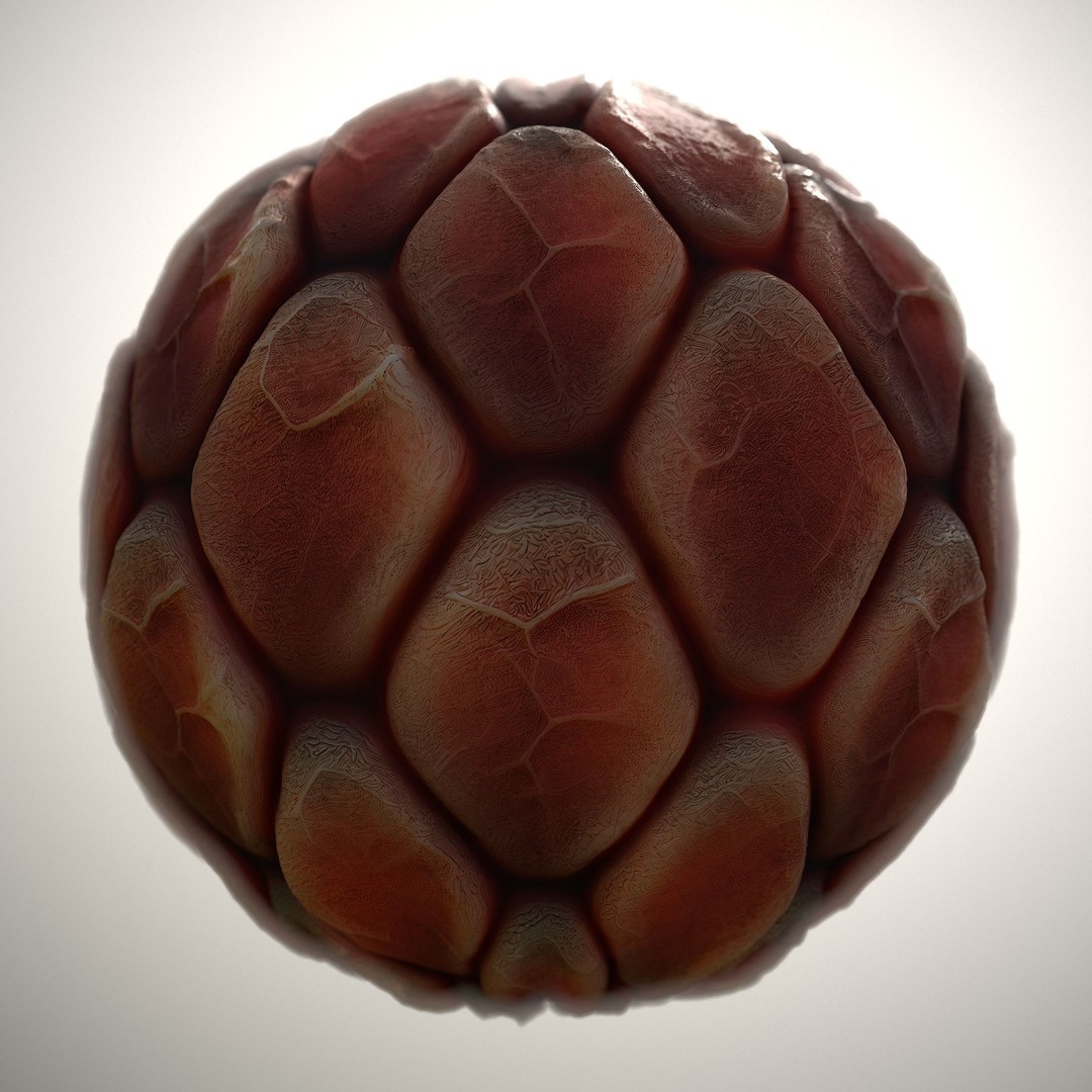 Alien Skin 3D Model – Seamless PBR Texture Pack for Characters - View 9