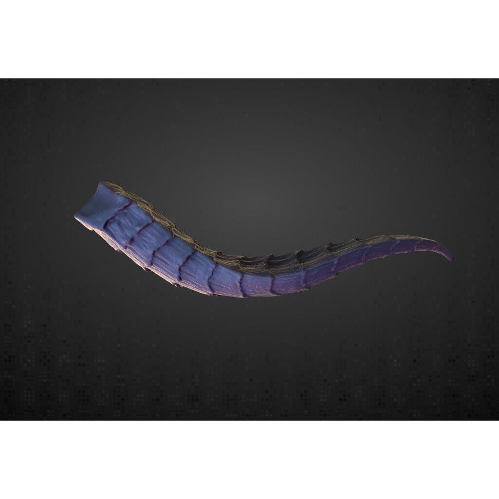 Horn 3D Model – High Poly Sculpture for Character Design, OBJ