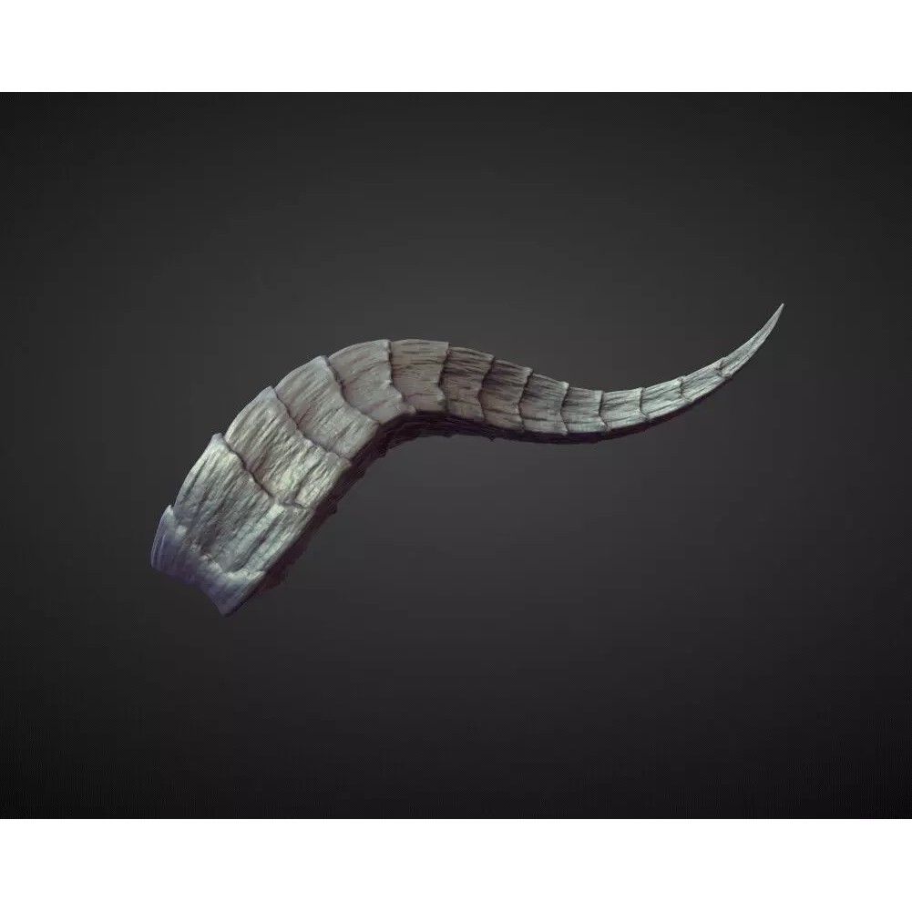 Horn 3D Model – High Poly Sculpture for Character Design, OBJ - View 2