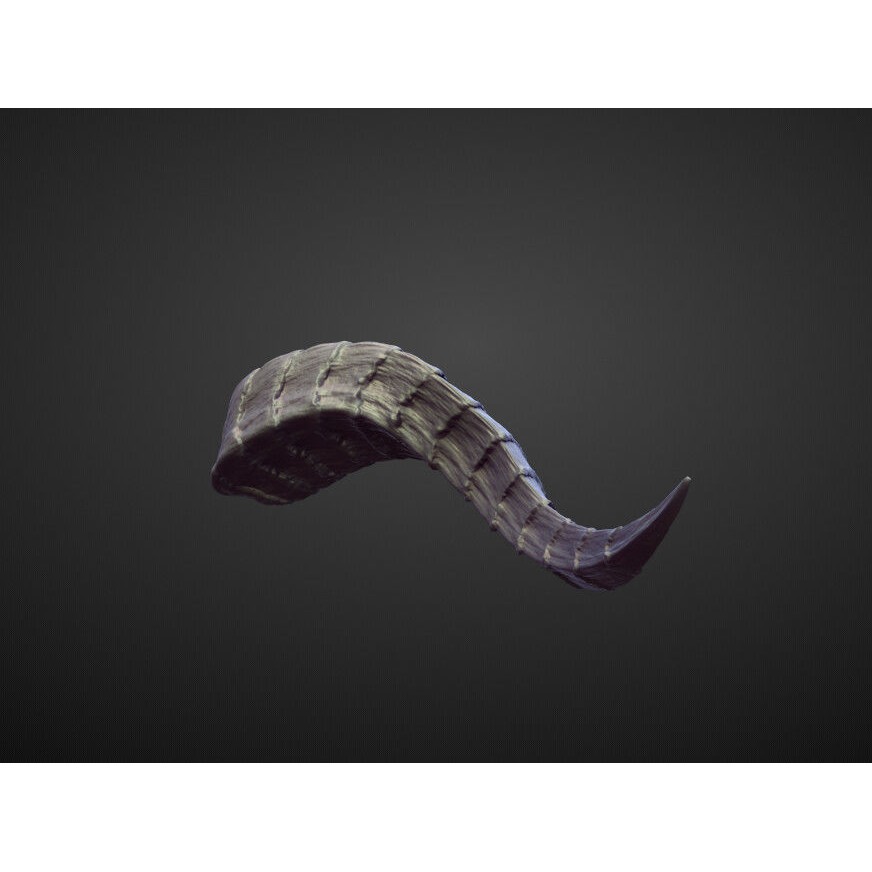Horn 3D Model – High Poly Sculpture for Character Design, OBJ - View 3