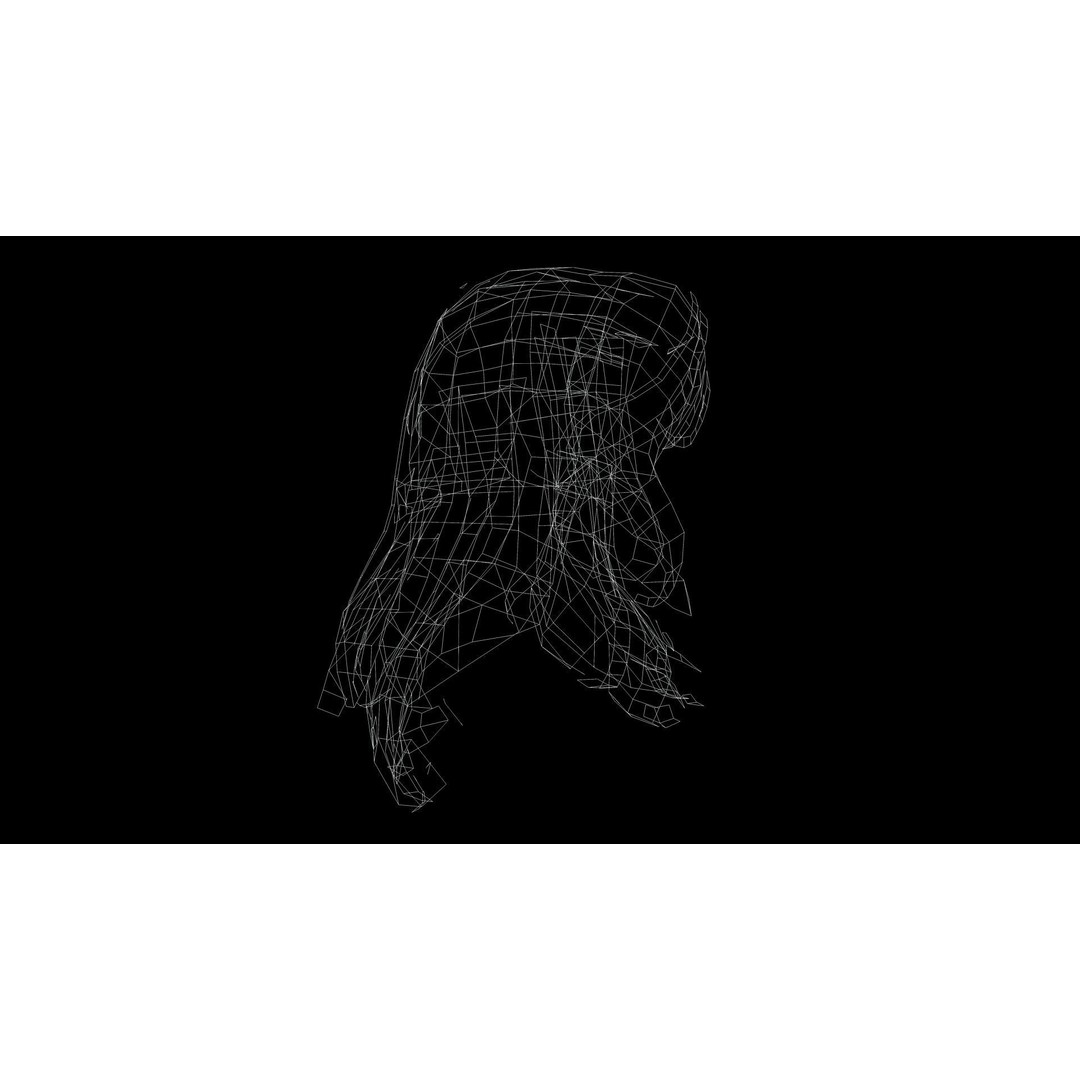Female Wavy Hair 3D Model – Low Poly Realistic Style, FBX - View 12