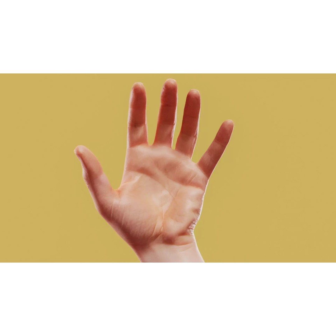 Relaxed Male Hand 3D Model – Low Poly Photogrammetry Asset, FBX - View 2