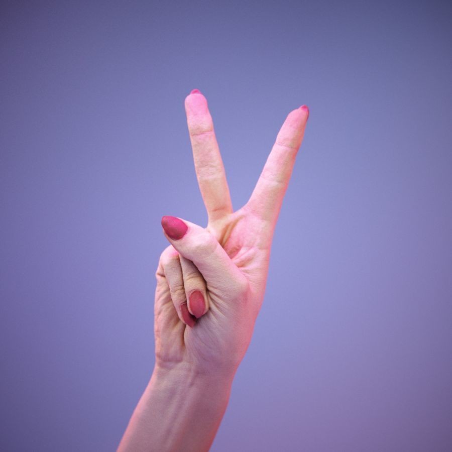 American Sign Language Hand Gesture 3D Model – High Poly Zbrush, FBX, OBJ