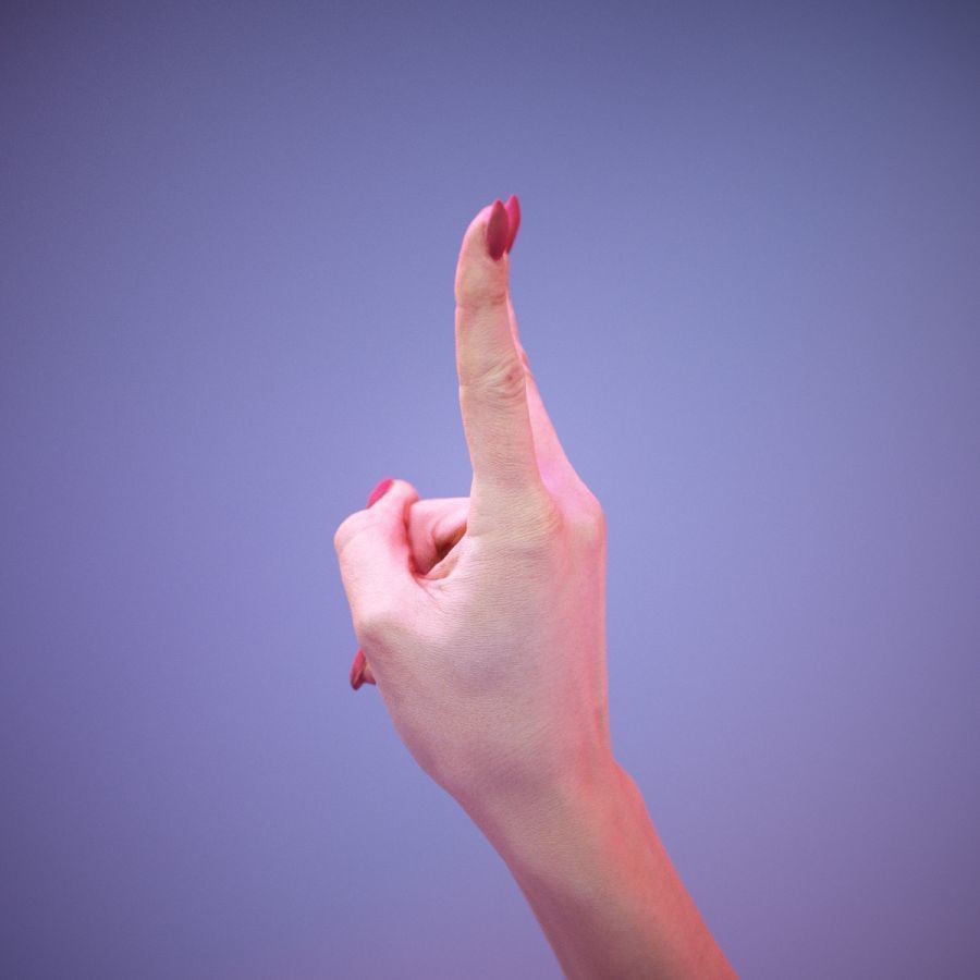 American Sign Language Hand Gesture 3D Model – High Poly Zbrush, FBX, OBJ - View 10
