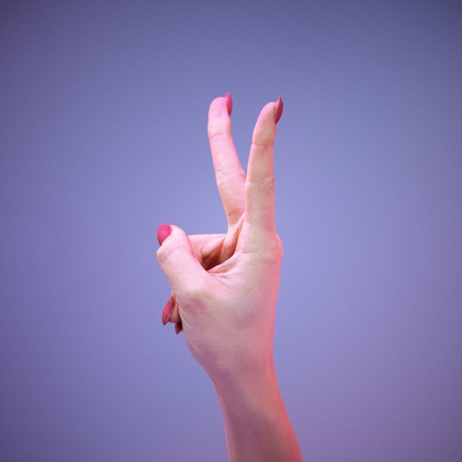 American Sign Language Hand Gesture 3D Model – High Poly Zbrush, FBX, OBJ - View 11