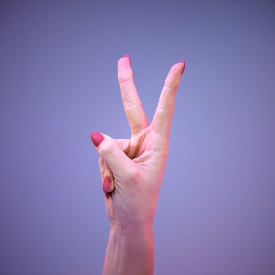 American Sign Language Hand Gesture 3D Model – High Poly Zbrush, FBX, OBJ - View 12