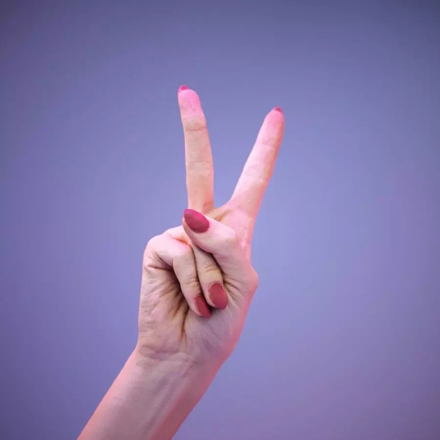American Sign Language Hand Gesture 3D Model – High Poly Zbrush, FBX, OBJ - View 2