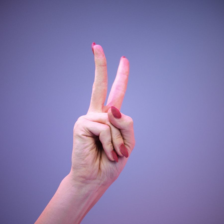 American Sign Language Hand Gesture 3D Model – High Poly Zbrush, FBX, OBJ - View 3