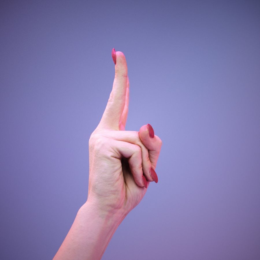 American Sign Language Hand Gesture 3D Model – High Poly Zbrush, FBX, OBJ - View 4