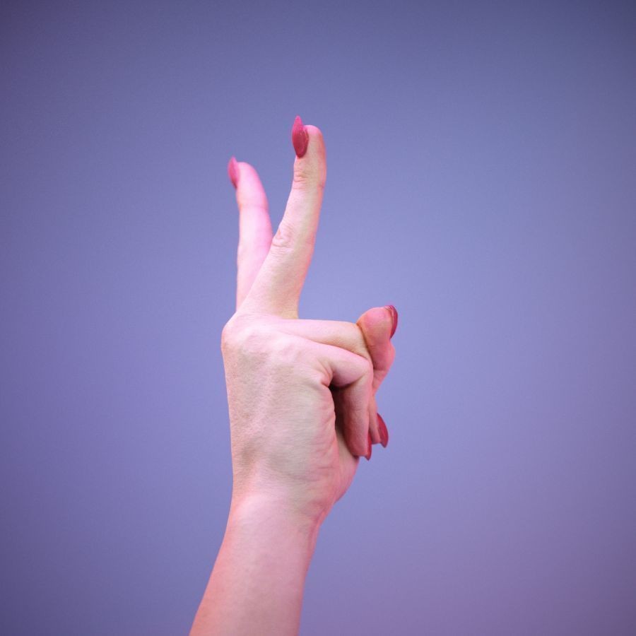 American Sign Language Hand Gesture 3D Model – High Poly Zbrush, FBX, OBJ - View 5