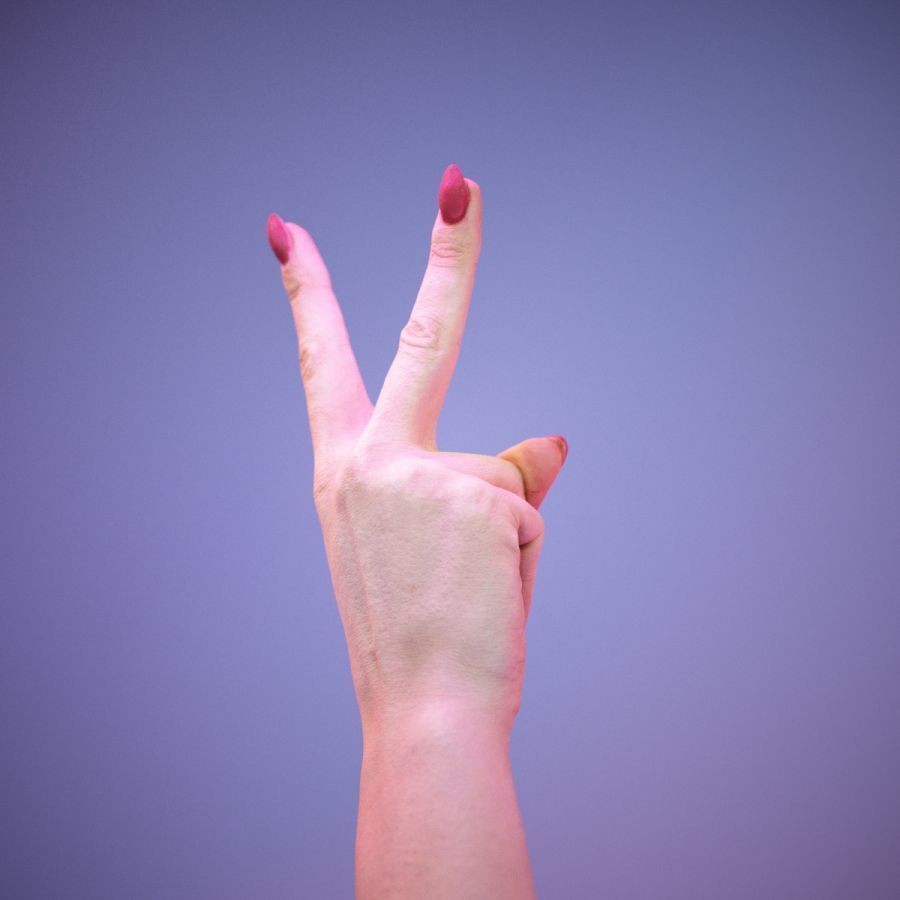 American Sign Language Hand Gesture 3D Model – High Poly Zbrush, FBX, OBJ - View 6