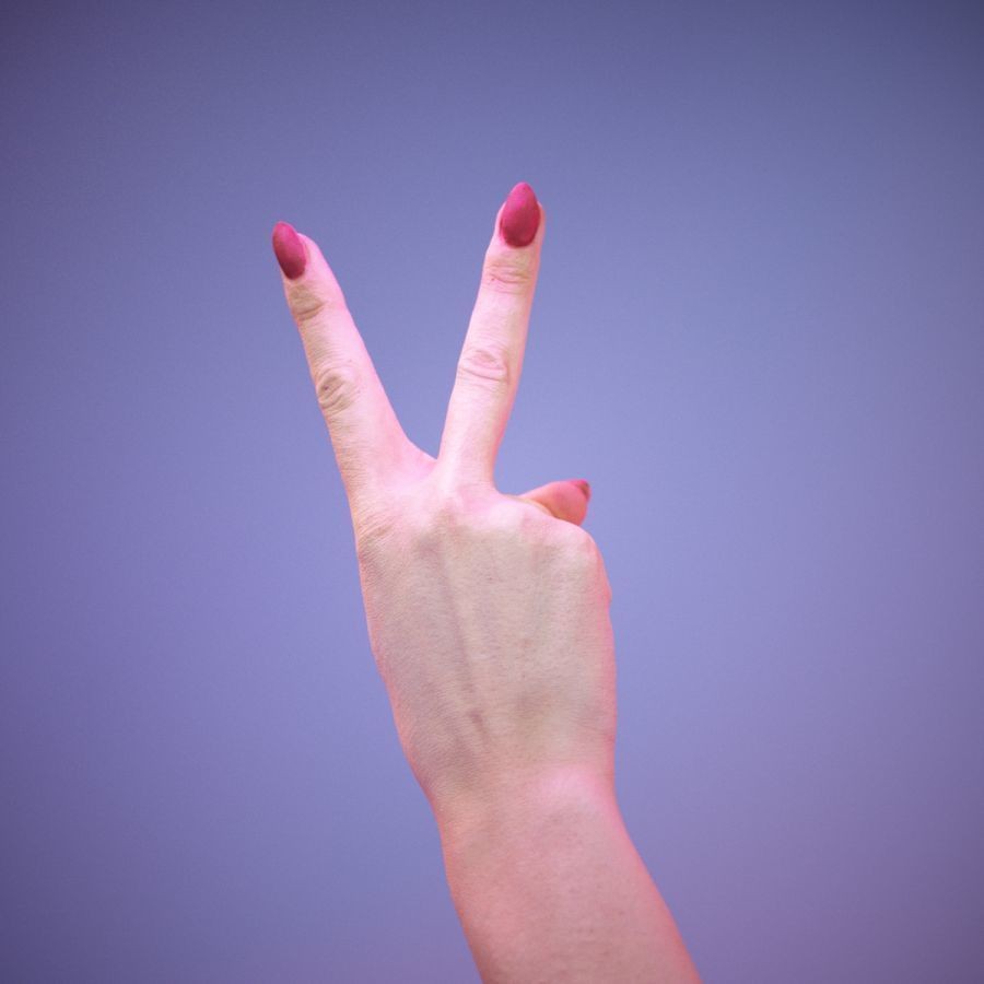 American Sign Language Hand Gesture 3D Model – High Poly Zbrush, FBX, OBJ - View 7