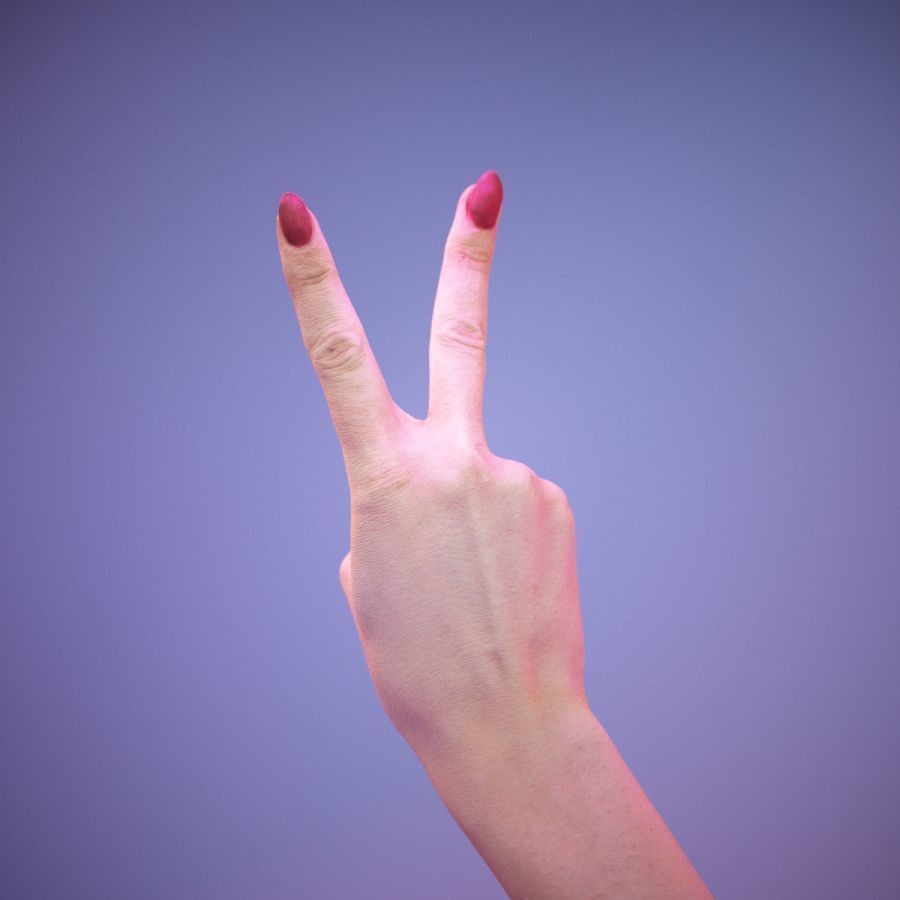 American Sign Language Hand Gesture 3D Model – High Poly Zbrush, FBX, OBJ - View 8