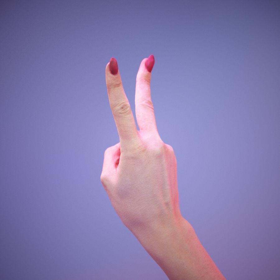 American Sign Language Hand Gesture 3D Model – High Poly Zbrush, FBX, OBJ - View 9