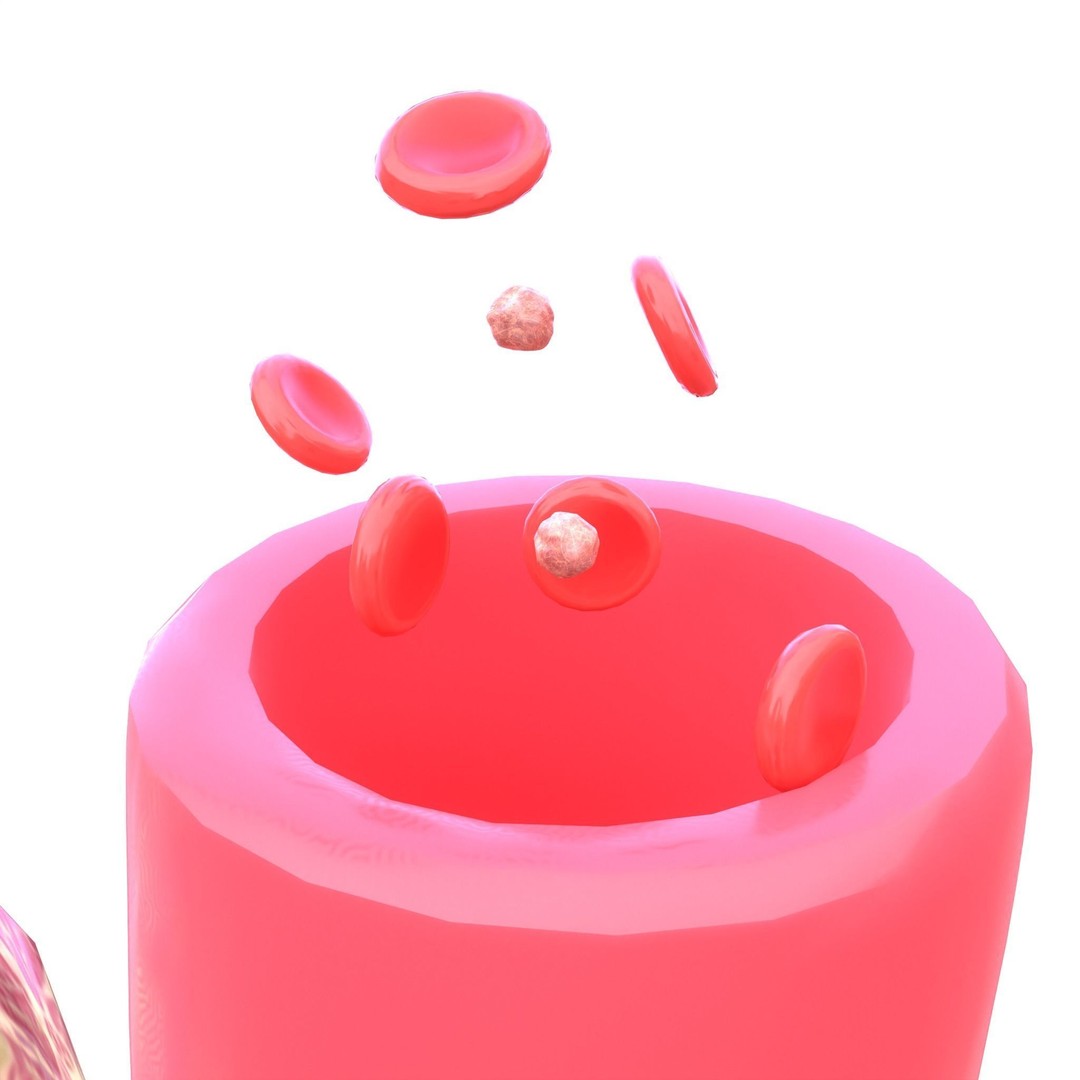 Tumor 3D Model – Low Poly Anatomy Asset with PBR Textures - View 10