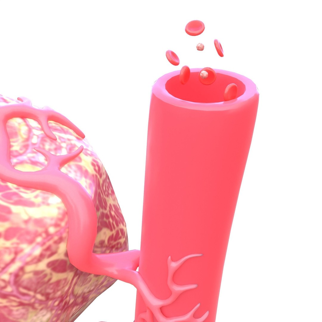 Tumor 3D Model – Low Poly Anatomy Asset with PBR Textures - View 9