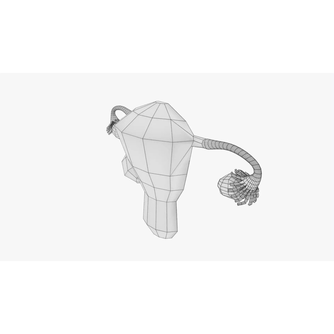 Uterus 3D Model – Low Poly Endometrial Lesions Set for Medical Use - View 12