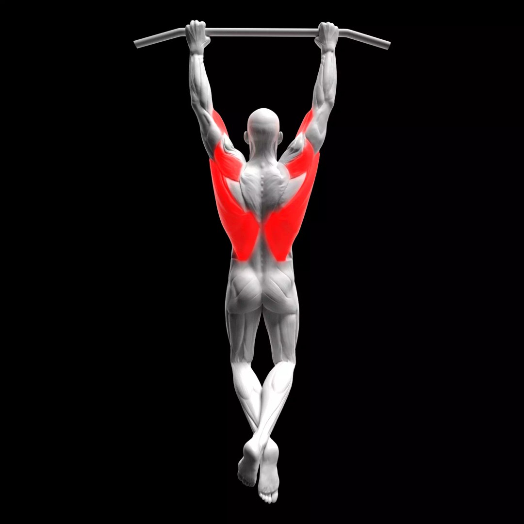Pull-Ups 3D Model – Animated Rigged Character with PBR Textures