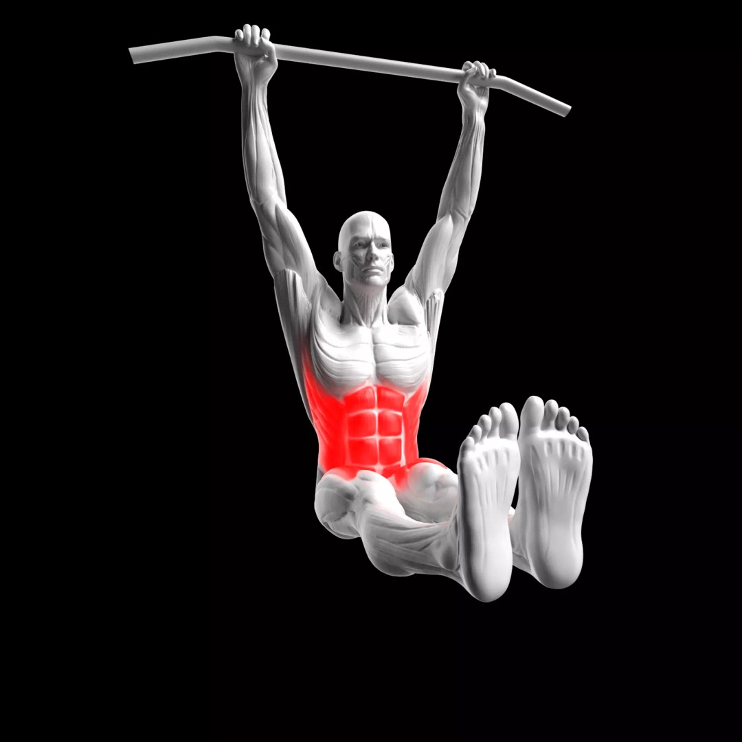 Hanging Leg Raises 3D Model – Animated Rigged Character with PBR Textures