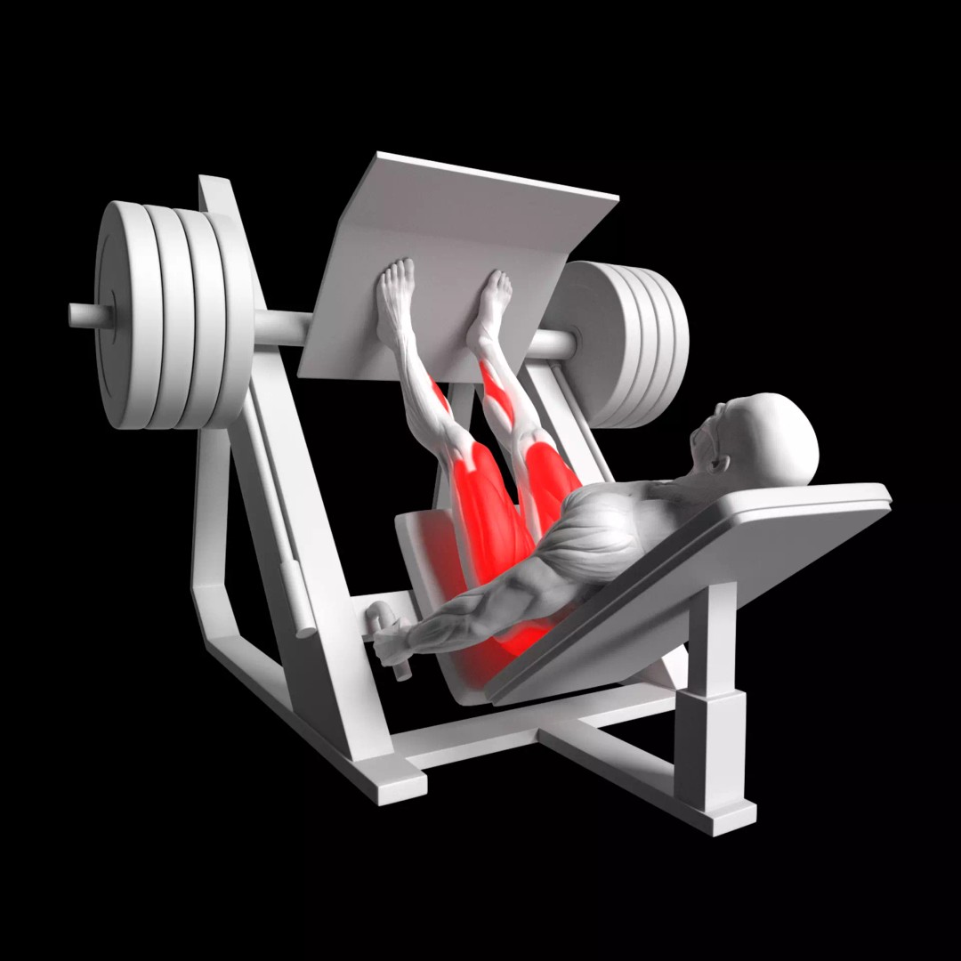 Leg Press 3D Model – Animated Rigged Character with PBR Textures - View 2