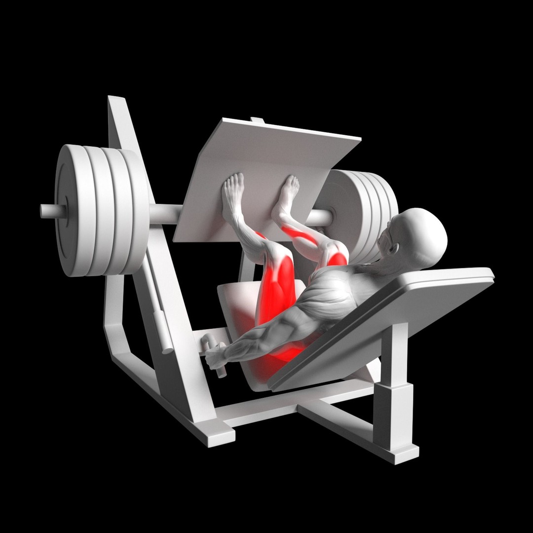 Leg Press 3D Model – Animated Rigged Character with PBR Textures - View 3