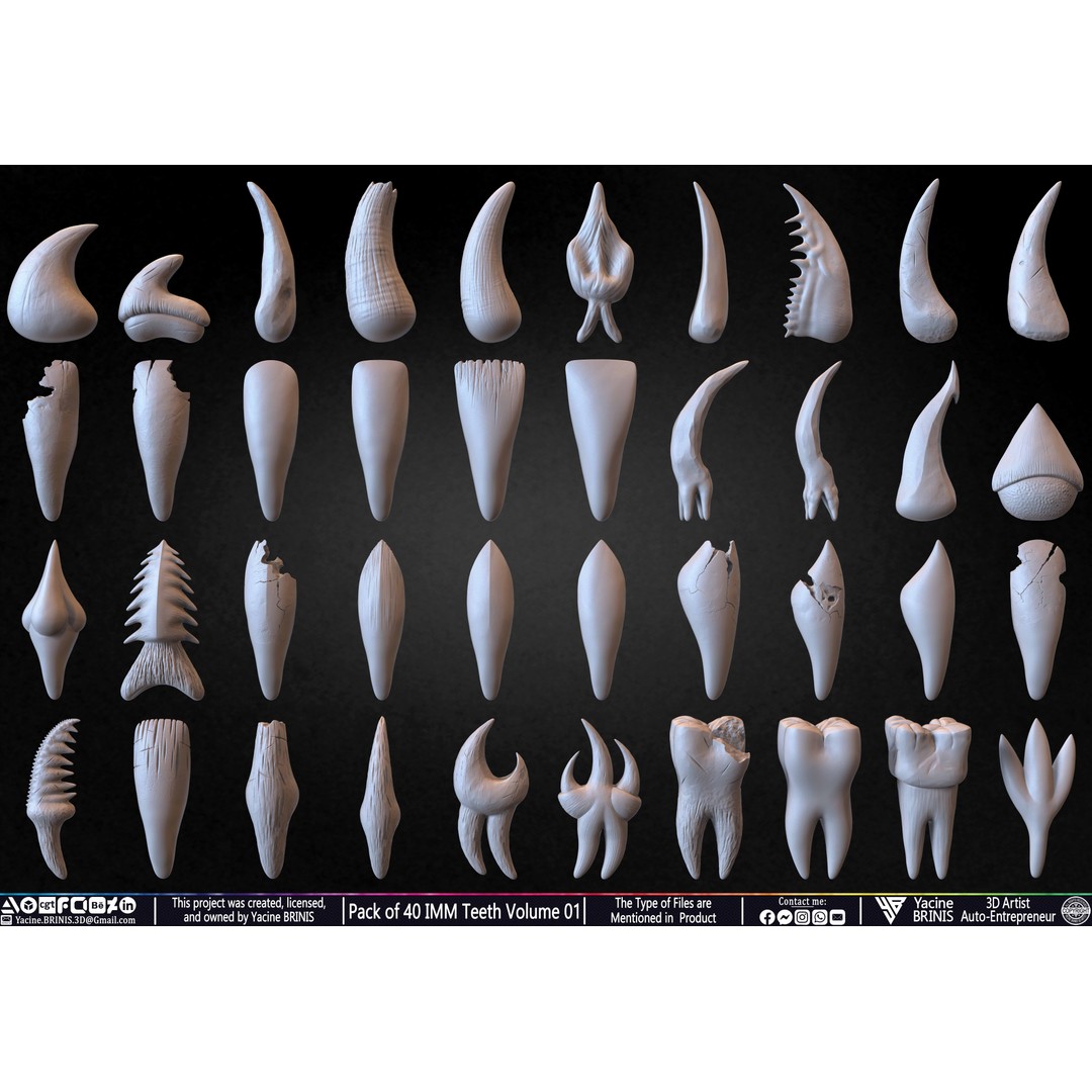 Pack of 40 IMM Teeth 3D Model – Anatomically Inspired Dental Assets for ZBrush - View 10