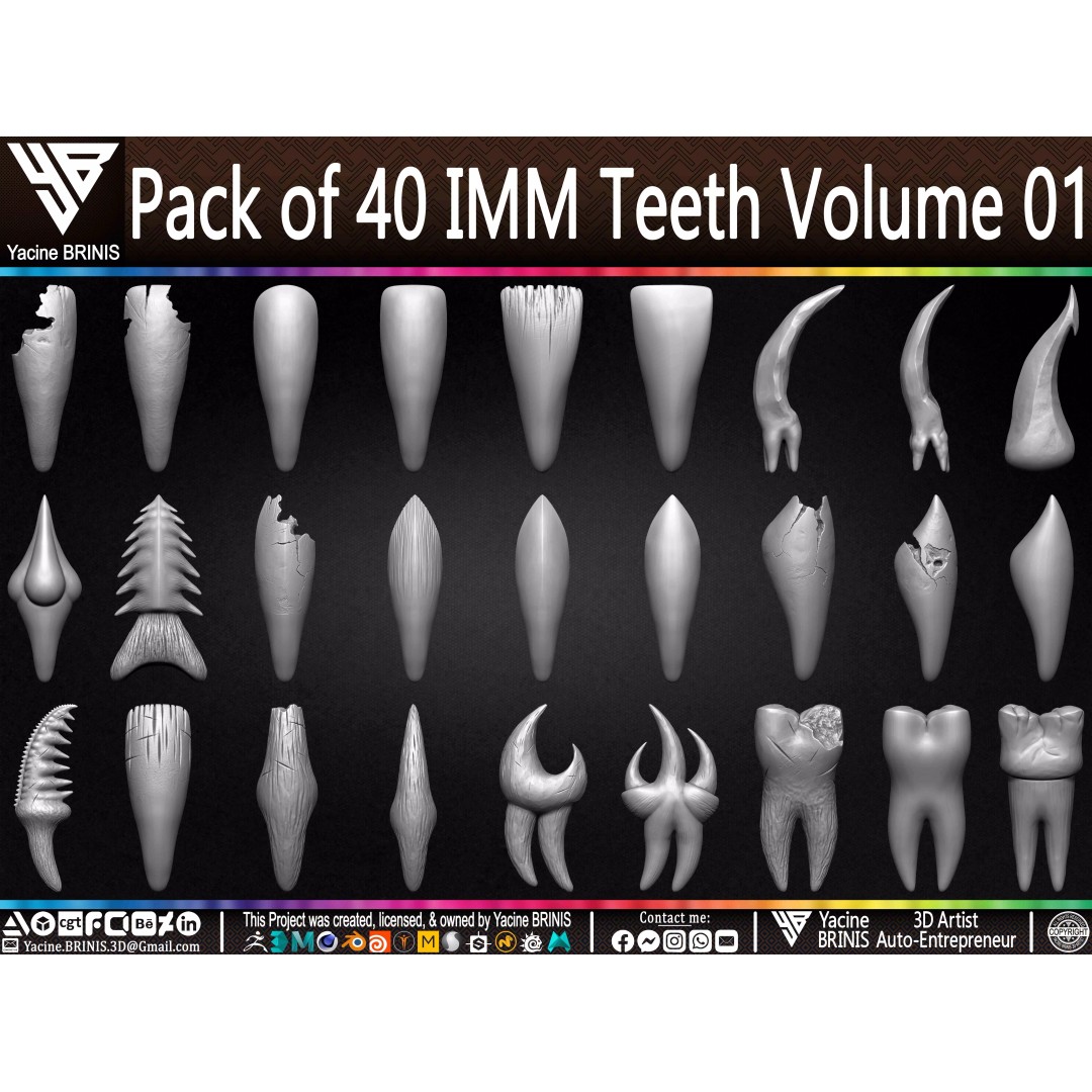 Pack of 40 IMM Teeth 3D Model – Anatomically Inspired Dental Assets for ZBrush - View 2