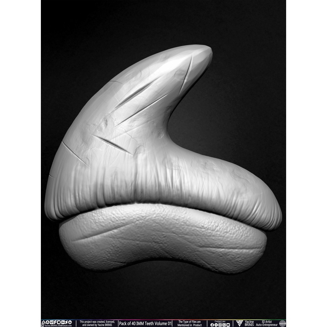 Pack of 40 IMM Teeth 3D Model – Anatomically Inspired Dental Assets for ZBrush - View 20