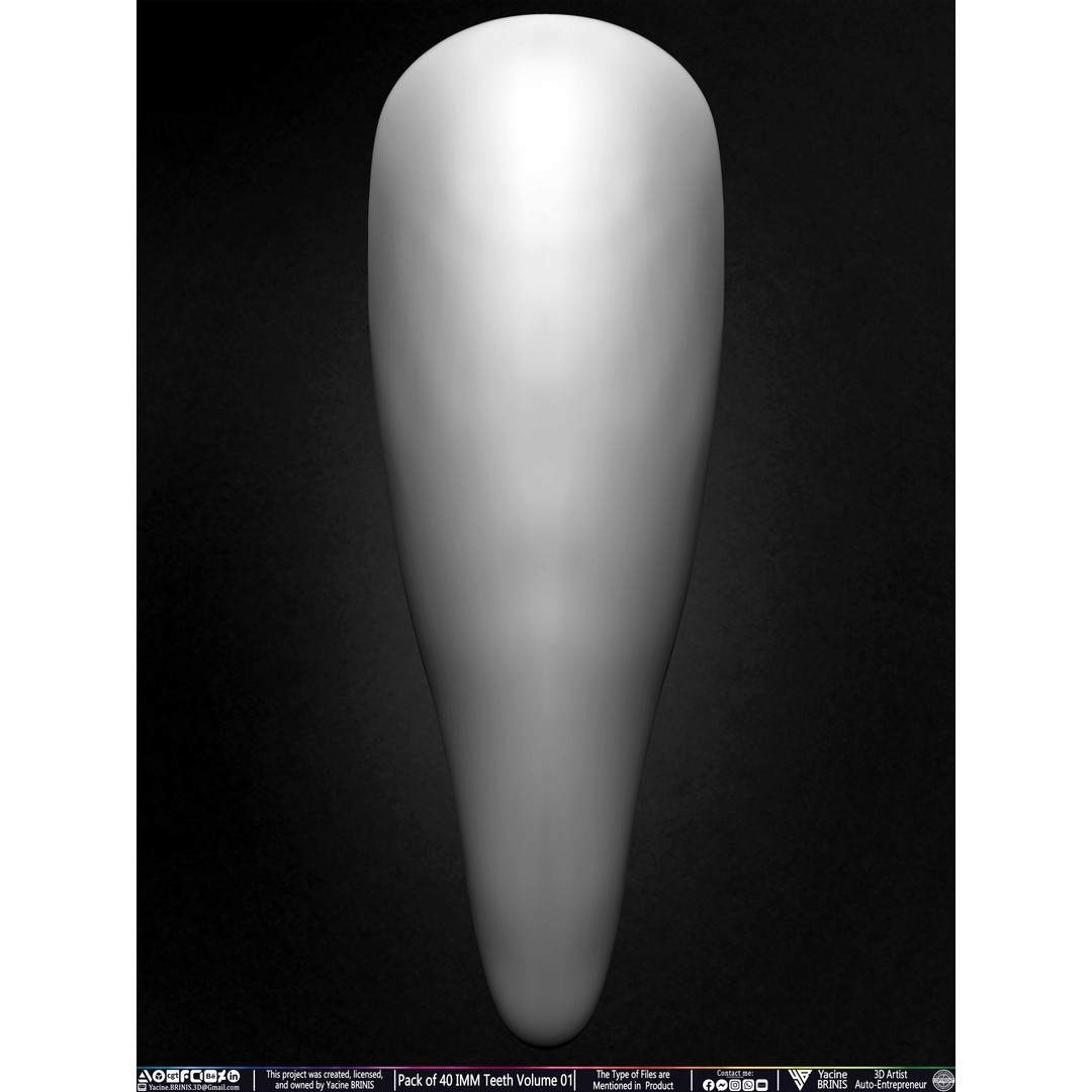 Pack of 40 IMM Teeth 3D Model – Anatomically Inspired Dental Assets for ZBrush - View 29