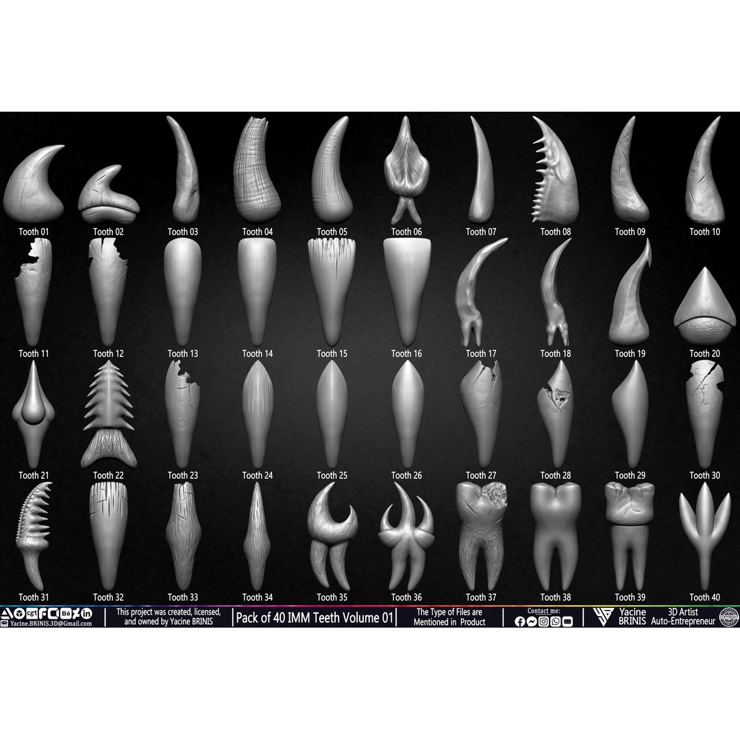 Pack of 40 IMM Teeth 3D Model – Anatomically Inspired Dental Assets for ZBrush - View 3