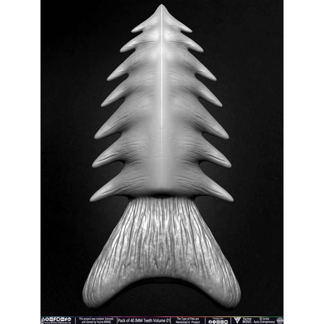 Pack of 40 IMM Teeth 3D Model – Anatomically Inspired Dental Assets for ZBrush - View 40
