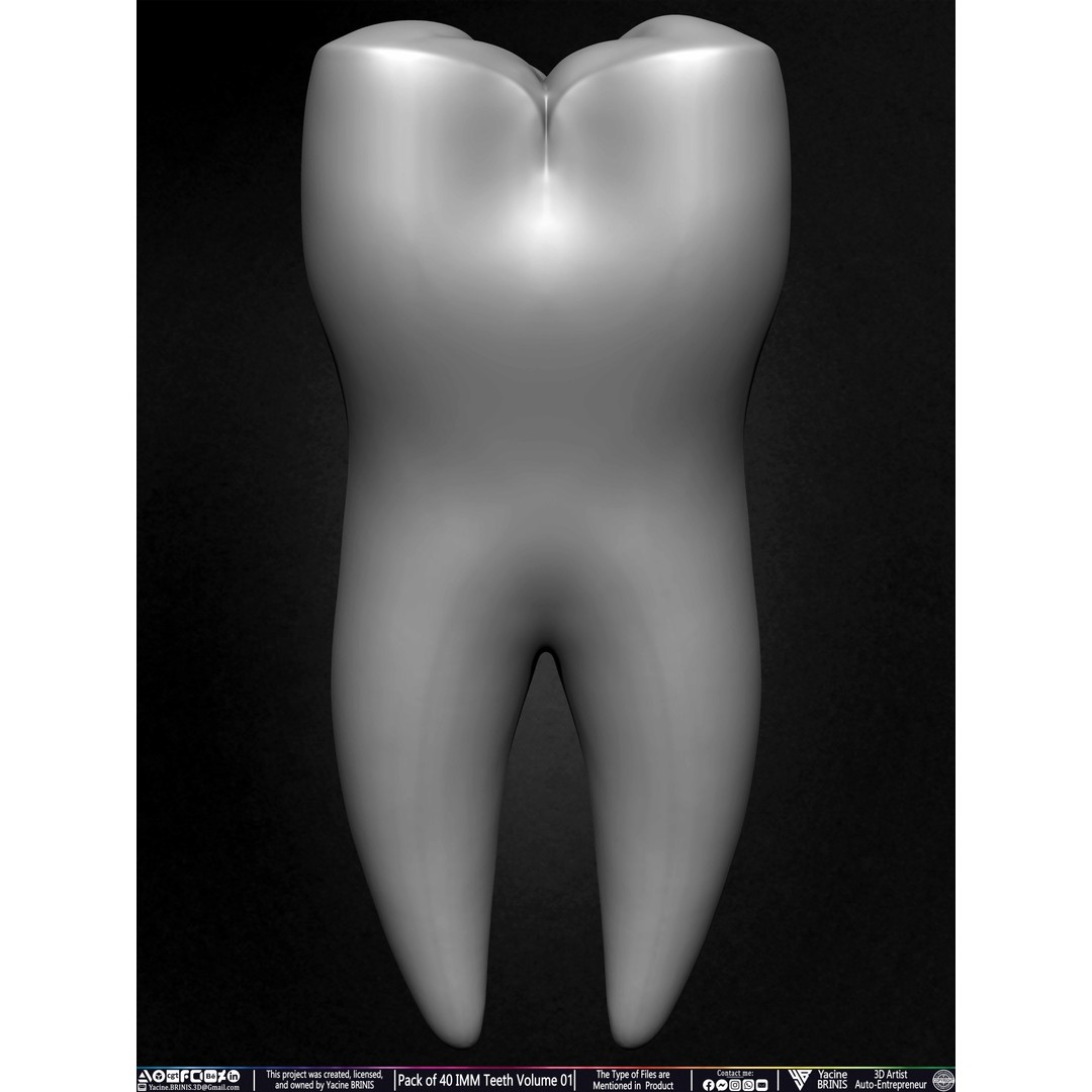 Pack of 40 IMM Teeth 3D Model – Anatomically Inspired Dental Assets for ZBrush - View 44