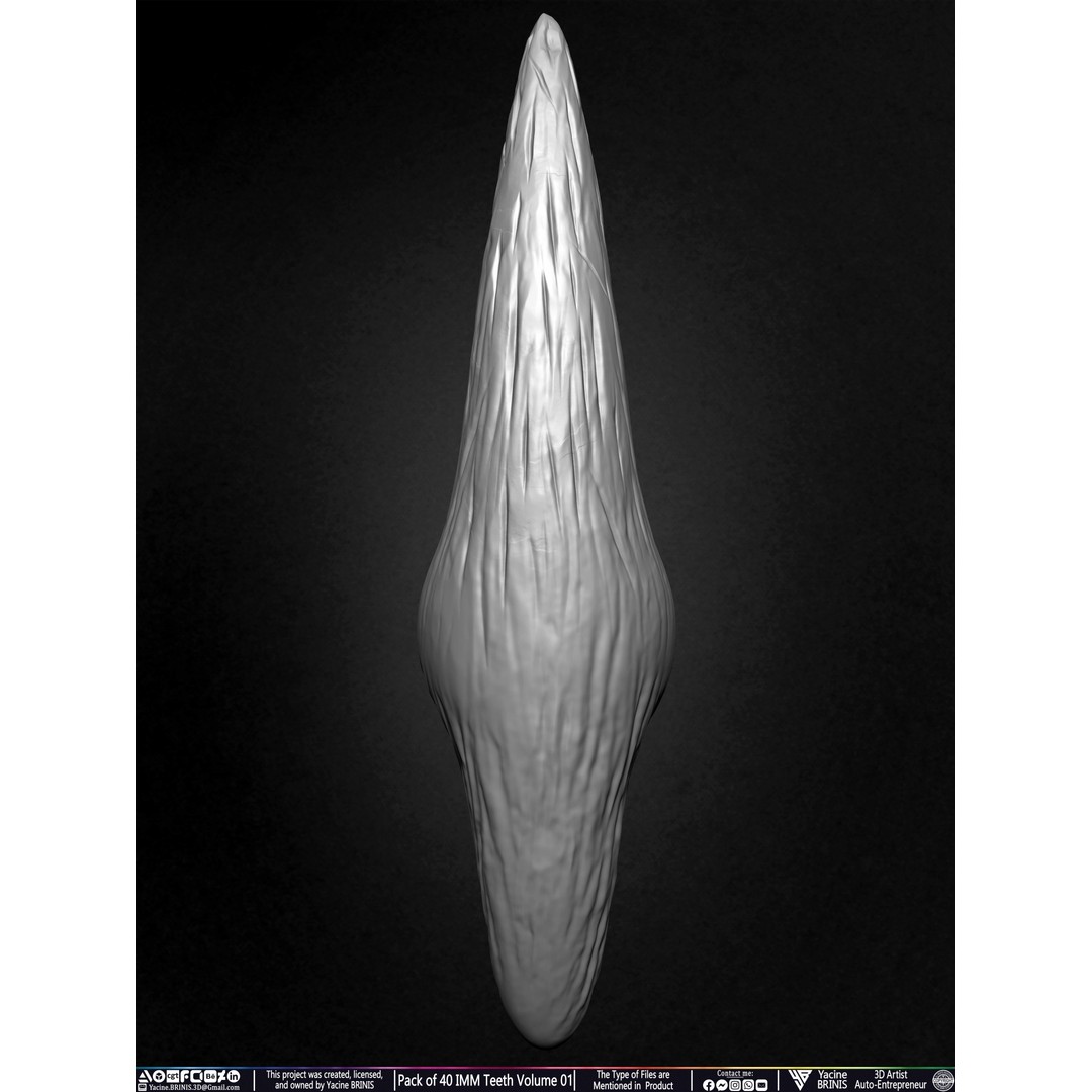 Pack of 40 IMM Teeth 3D Model – Anatomically Inspired Dental Assets for ZBrush - View 48