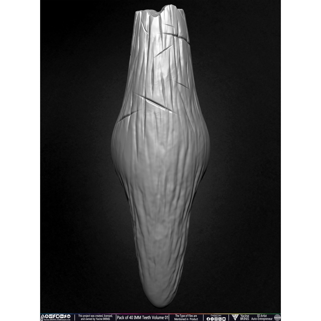 Pack of 40 IMM Teeth 3D Model – Anatomically Inspired Dental Assets for ZBrush - View 49