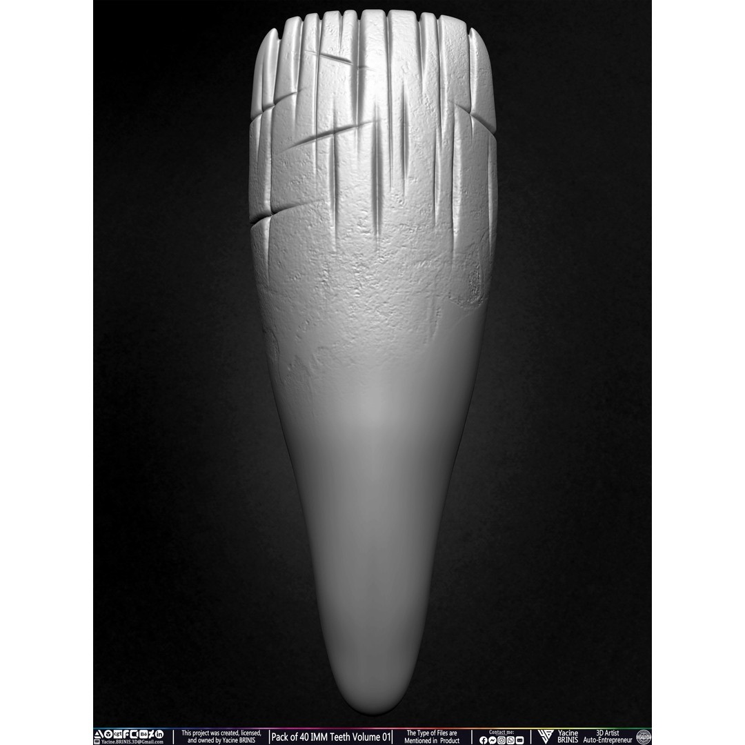 Pack of 40 IMM Teeth 3D Model – Anatomically Inspired Dental Assets for ZBrush - View 50